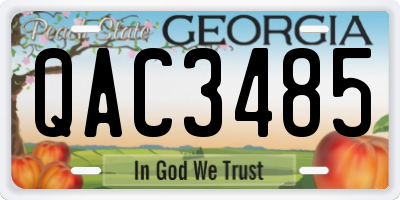 GA license plate QAC3485