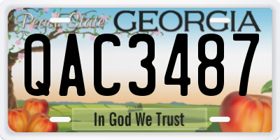 GA license plate QAC3487