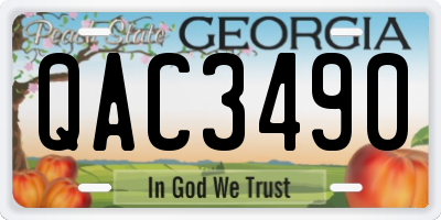 GA license plate QAC3490