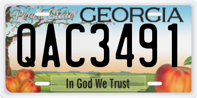 GA license plate QAC3491