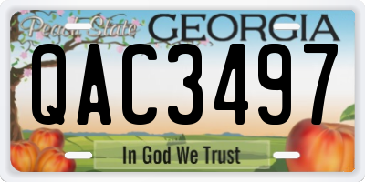 GA license plate QAC3497
