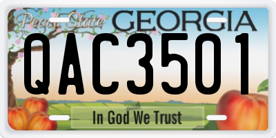 GA license plate QAC3501
