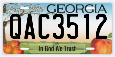GA license plate QAC3512