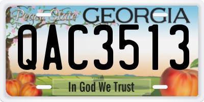 GA license plate QAC3513