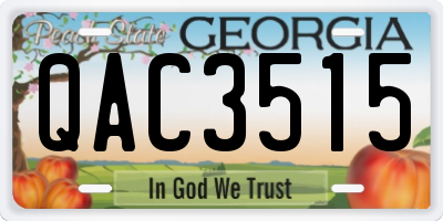 GA license plate QAC3515