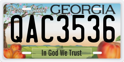 GA license plate QAC3536