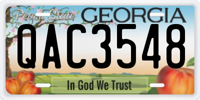 GA license plate QAC3548