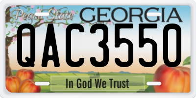 GA license plate QAC3550