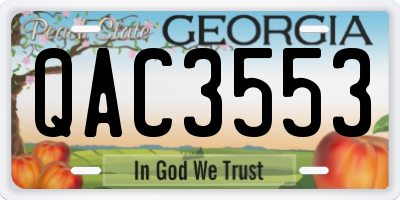 GA license plate QAC3553