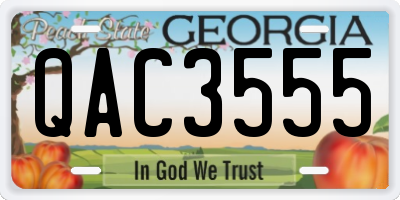 GA license plate QAC3555