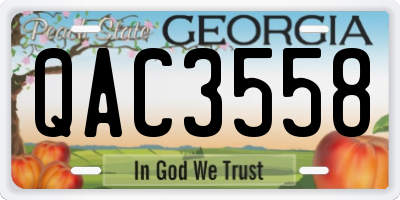 GA license plate QAC3558