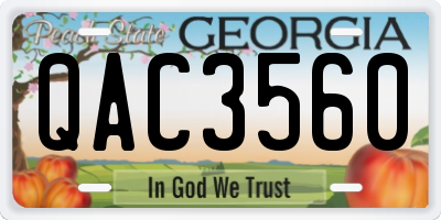 GA license plate QAC3560