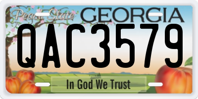 GA license plate QAC3579