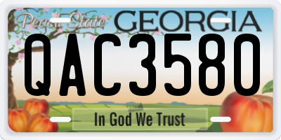 GA license plate QAC3580