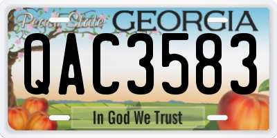 GA license plate QAC3583
