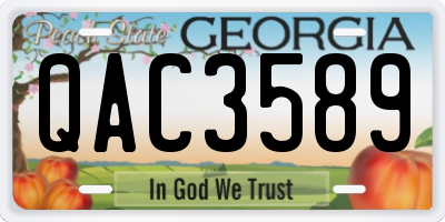 GA license plate QAC3589
