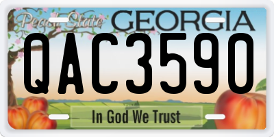 GA license plate QAC3590