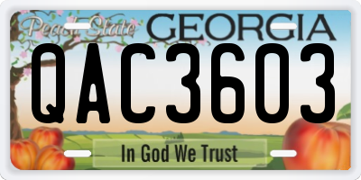 GA license plate QAC3603