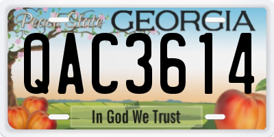GA license plate QAC3614