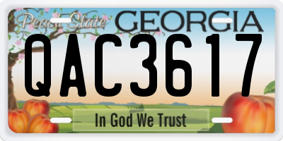 GA license plate QAC3617