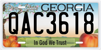 GA license plate QAC3618