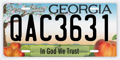 GA license plate QAC3631
