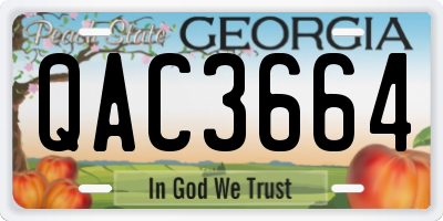 GA license plate QAC3664