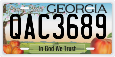 GA license plate QAC3689