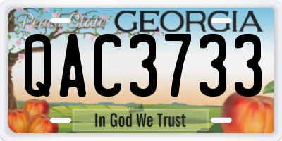 GA license plate QAC3733