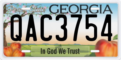 GA license plate QAC3754