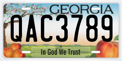 GA license plate QAC3789
