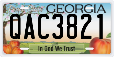GA license plate QAC3821