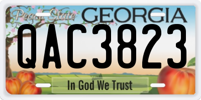 GA license plate QAC3823