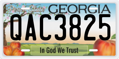 GA license plate QAC3825