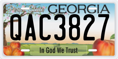 GA license plate QAC3827