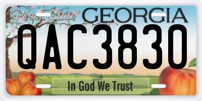 GA license plate QAC3830