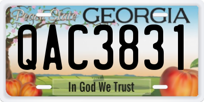 GA license plate QAC3831