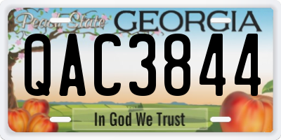 GA license plate QAC3844