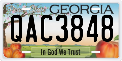 GA license plate QAC3848
