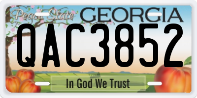 GA license plate QAC3852