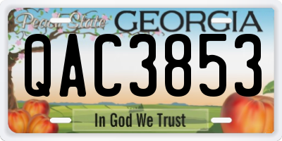 GA license plate QAC3853