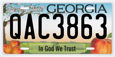 GA license plate QAC3863