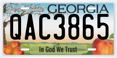 GA license plate QAC3865