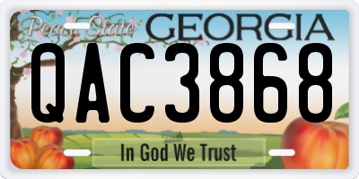 GA license plate QAC3868