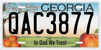 GA license plate QAC3877