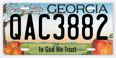 GA license plate QAC3882