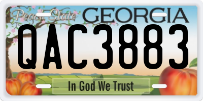 GA license plate QAC3883