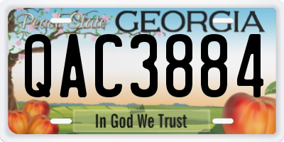 GA license plate QAC3884