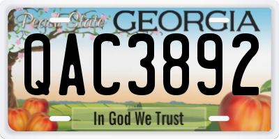 GA license plate QAC3892