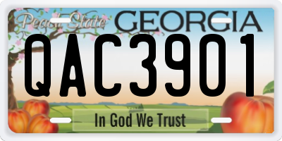 GA license plate QAC3901